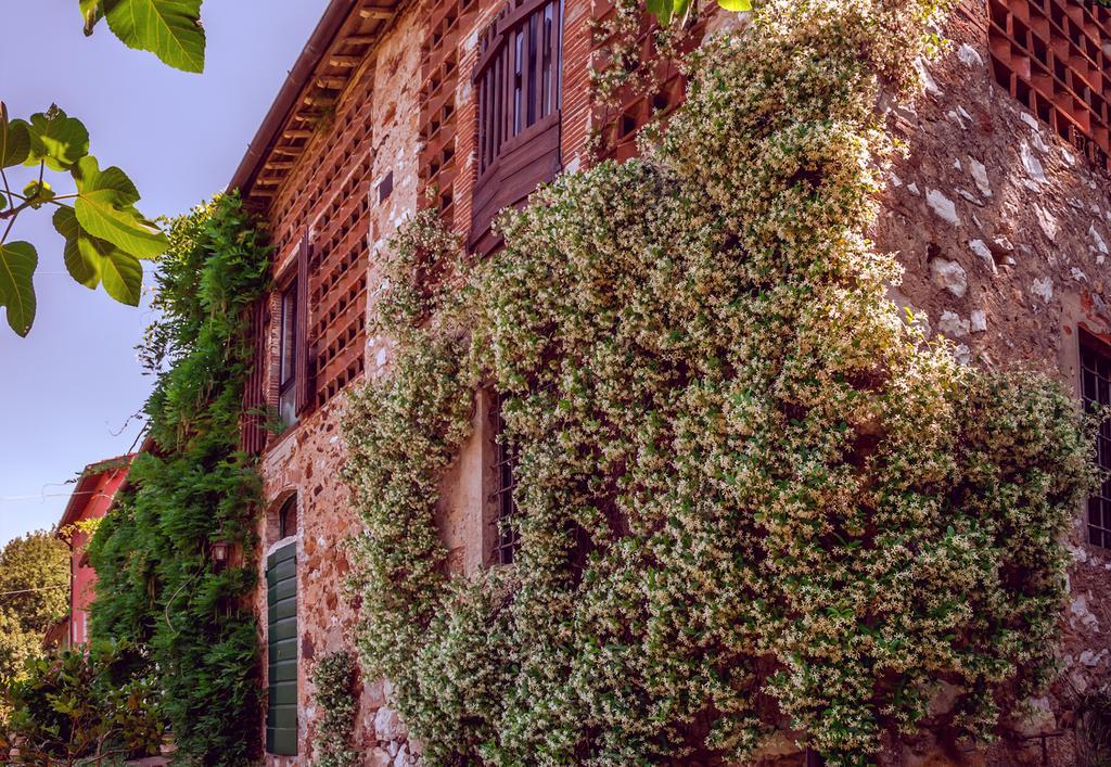 Corte Della Rusticuccia Apartment Lucca Exterior photo